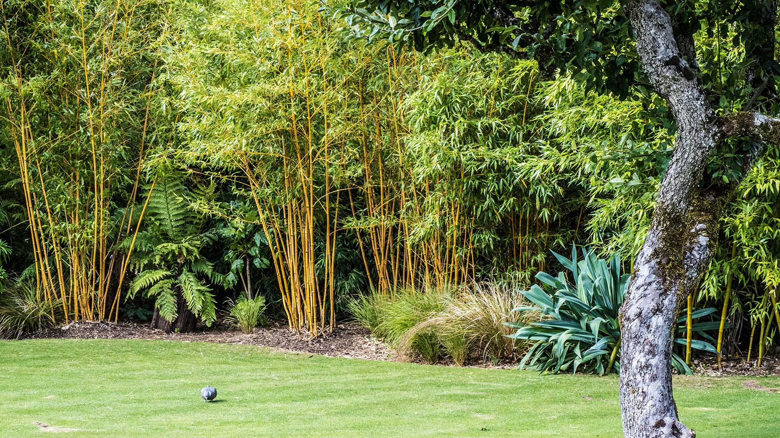 Bamboo Grove Event Planning