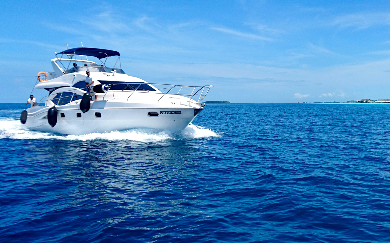 Blue Moon YC-300
