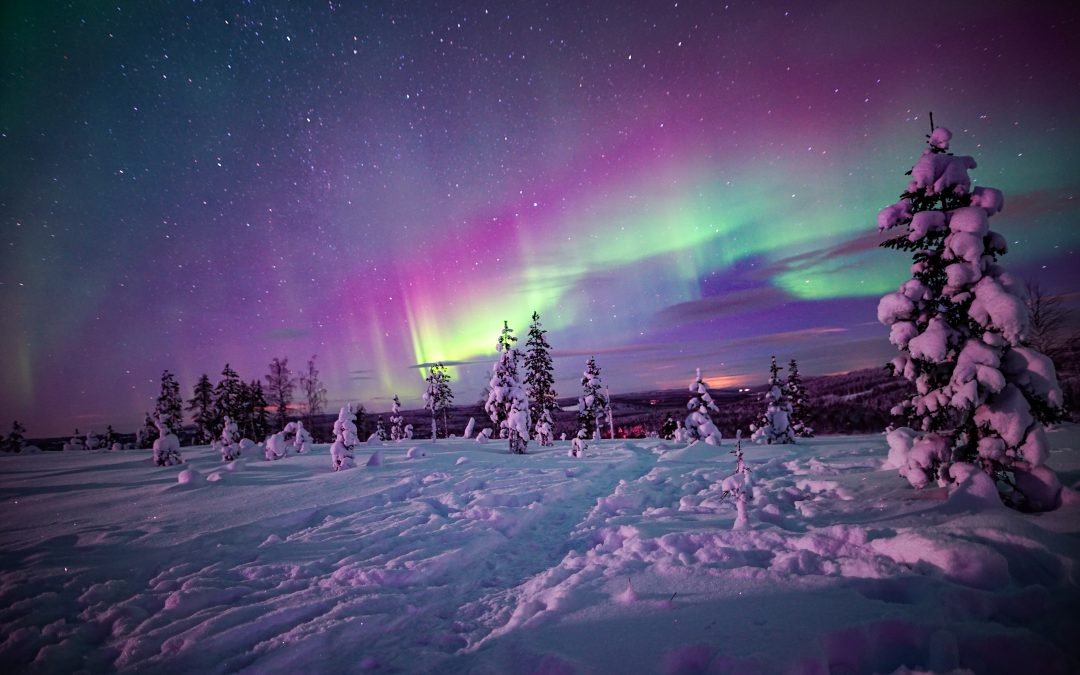 Northern Lights Event Planners